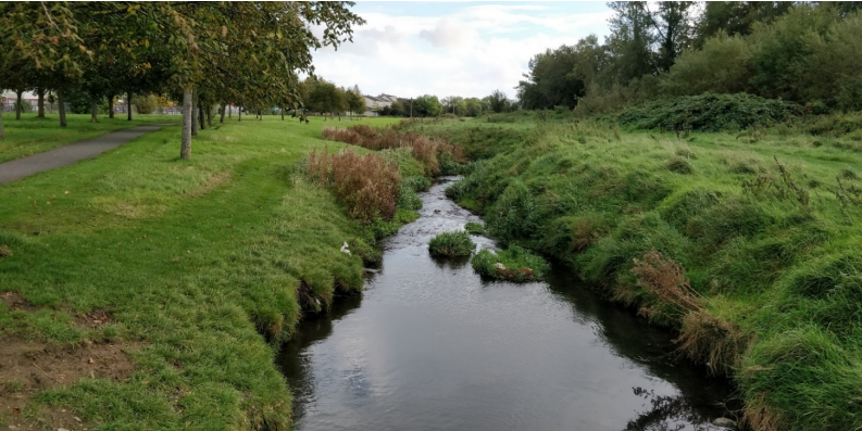 River Poddle Flood Alleviation Scheme 2020